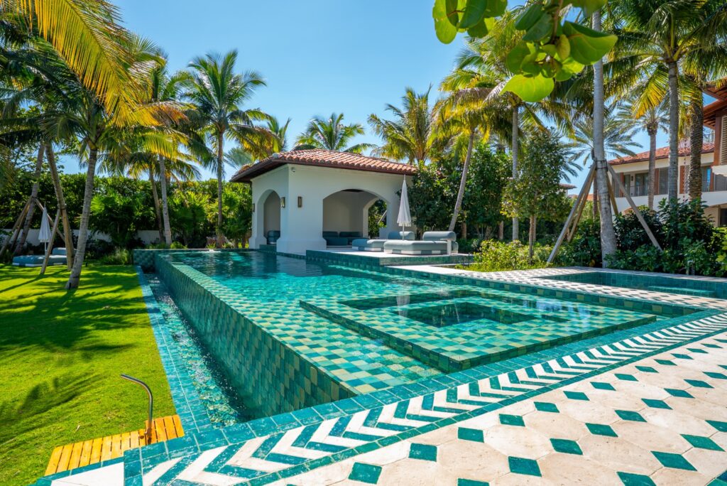 Pine Tree Miami Beach